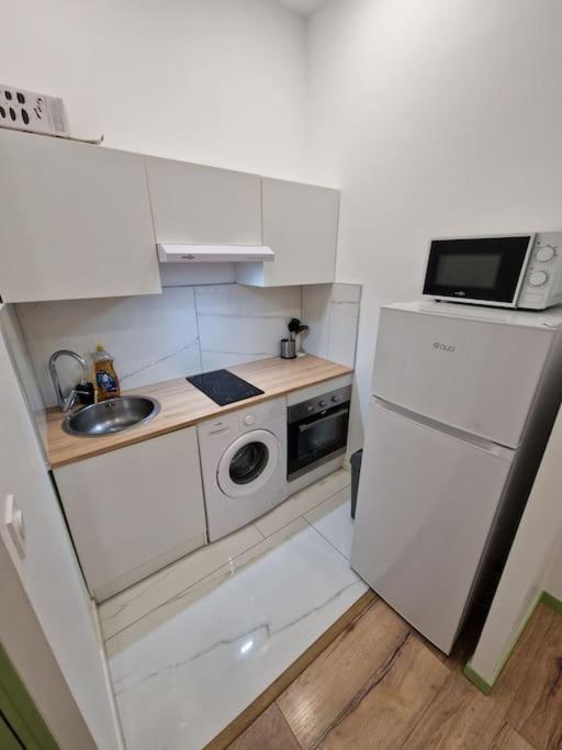 Magnifique Appartement De Type 2 圣艾蒂安 外观 照片